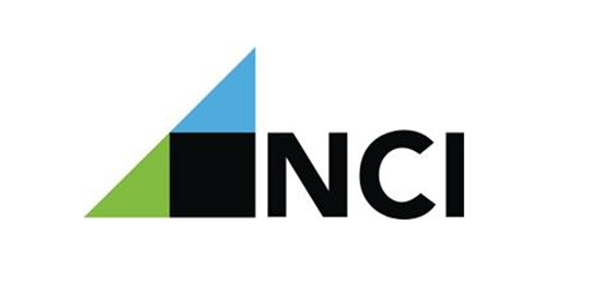 New College Institute logo