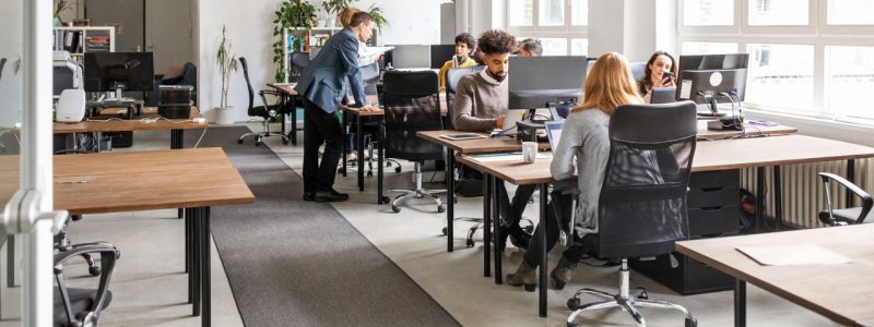 Tech people working on laptops in office