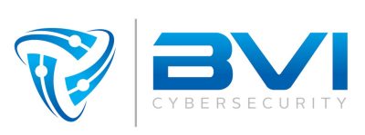 Blu Venture Investors Cybersecurity logo
