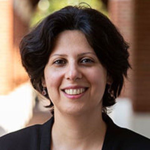 Faryaneh Poursardar of ODU portrait of Faryaneh Poursardar