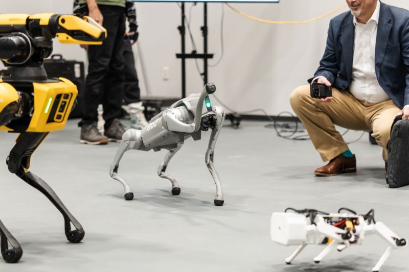 robot dogs prance around lab